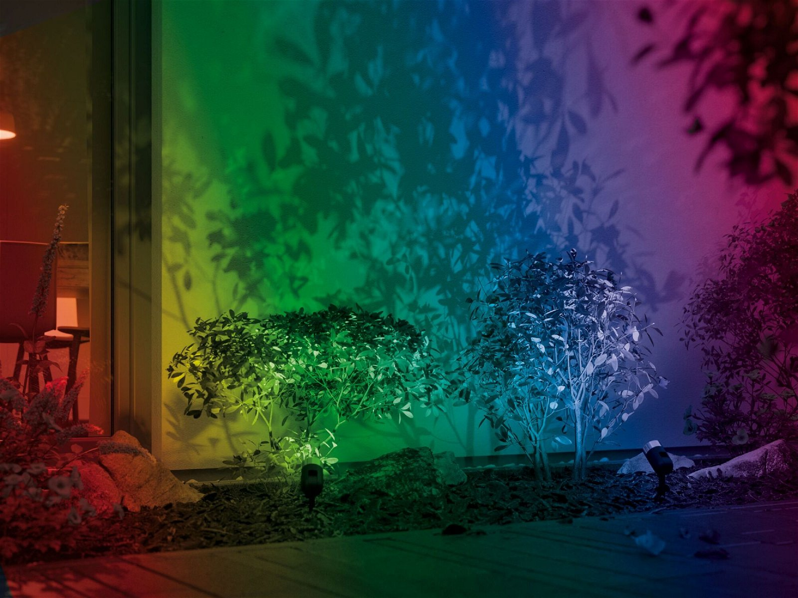 Kolorowe światła oświetlające krzewy i ścianę. Scena przedstawia zieleń, błękit, czerwień i róż.