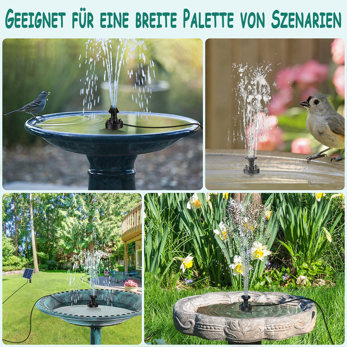 Mehrere Bilder von Springbrunnen in verschiedenen Gartenumgebungen mit Vögeln.
