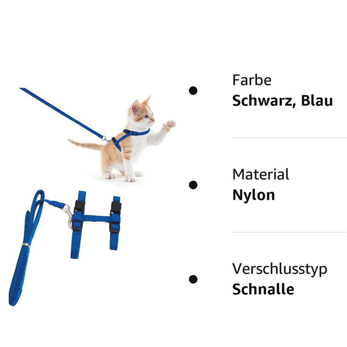 Ein Kätzchen mit blauem Geschirr und Leine, neben Geschirr und Leine auf dem Boden.