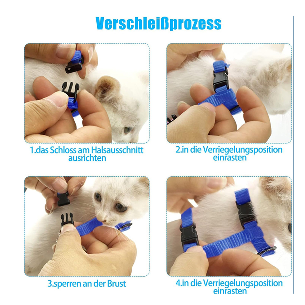 Eine Katze mit blauem Geschirr, Schritt-für-Schritt-Anleitung.