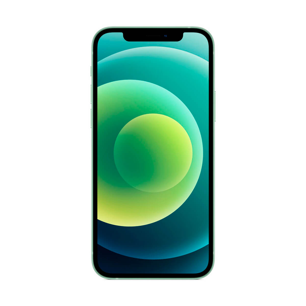 Un iPhone 12 verde, con schermo sfumato verde e blu. Sfondo bianco.