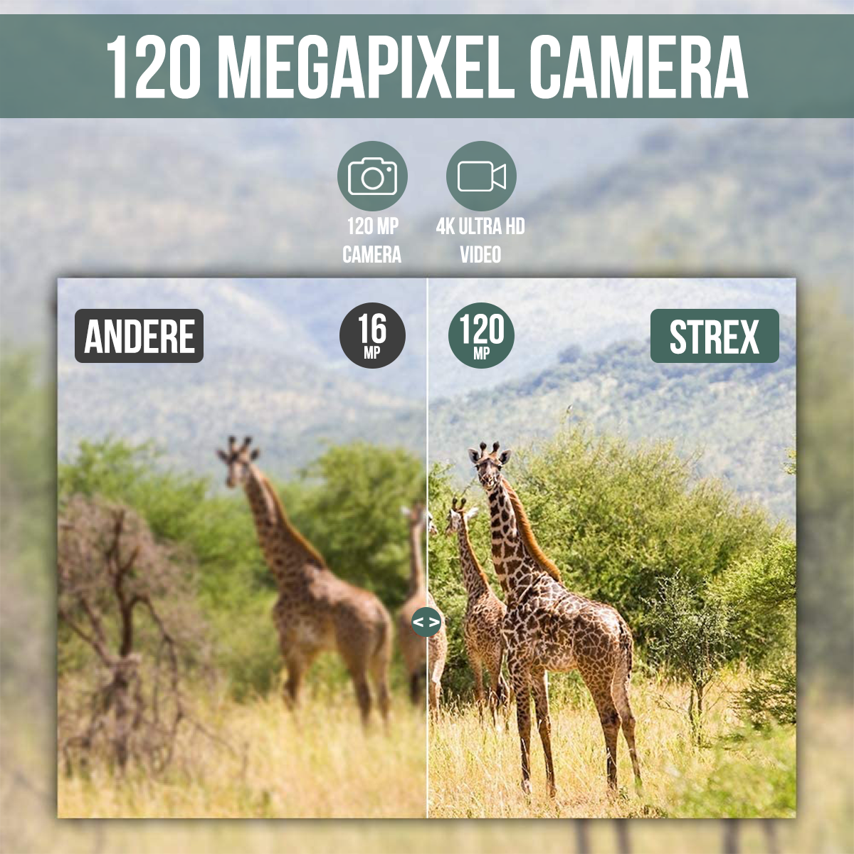 Two giraffes in focus, with a blurred background. Text highlights a 120-megapixel camera.