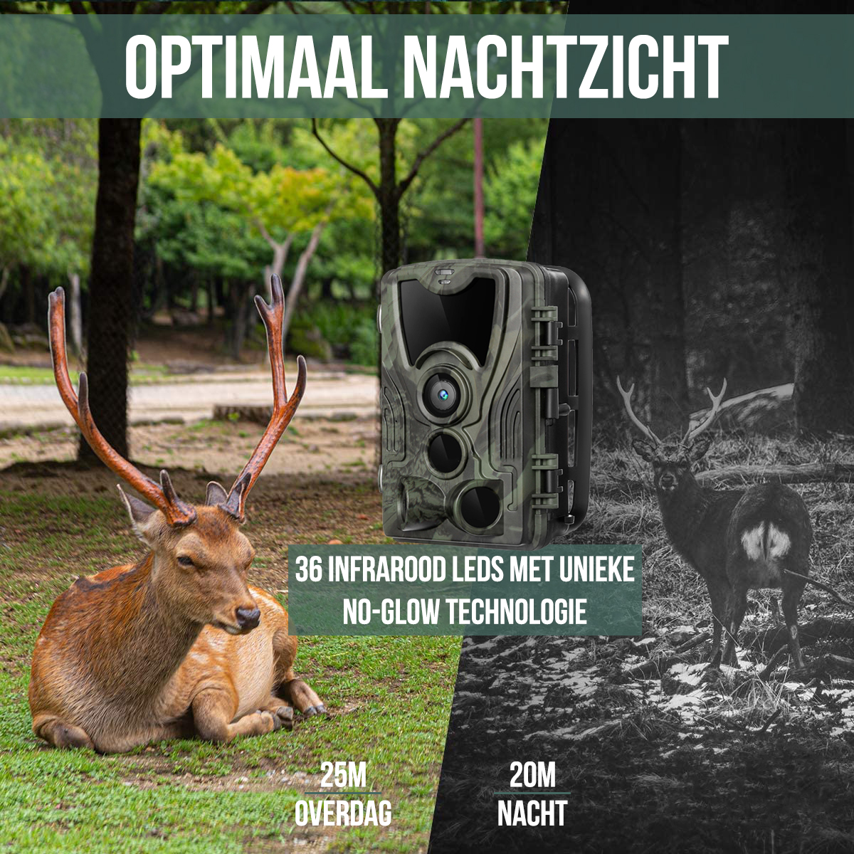 Deer and a camera in a forest, split screen shows day and night vision.