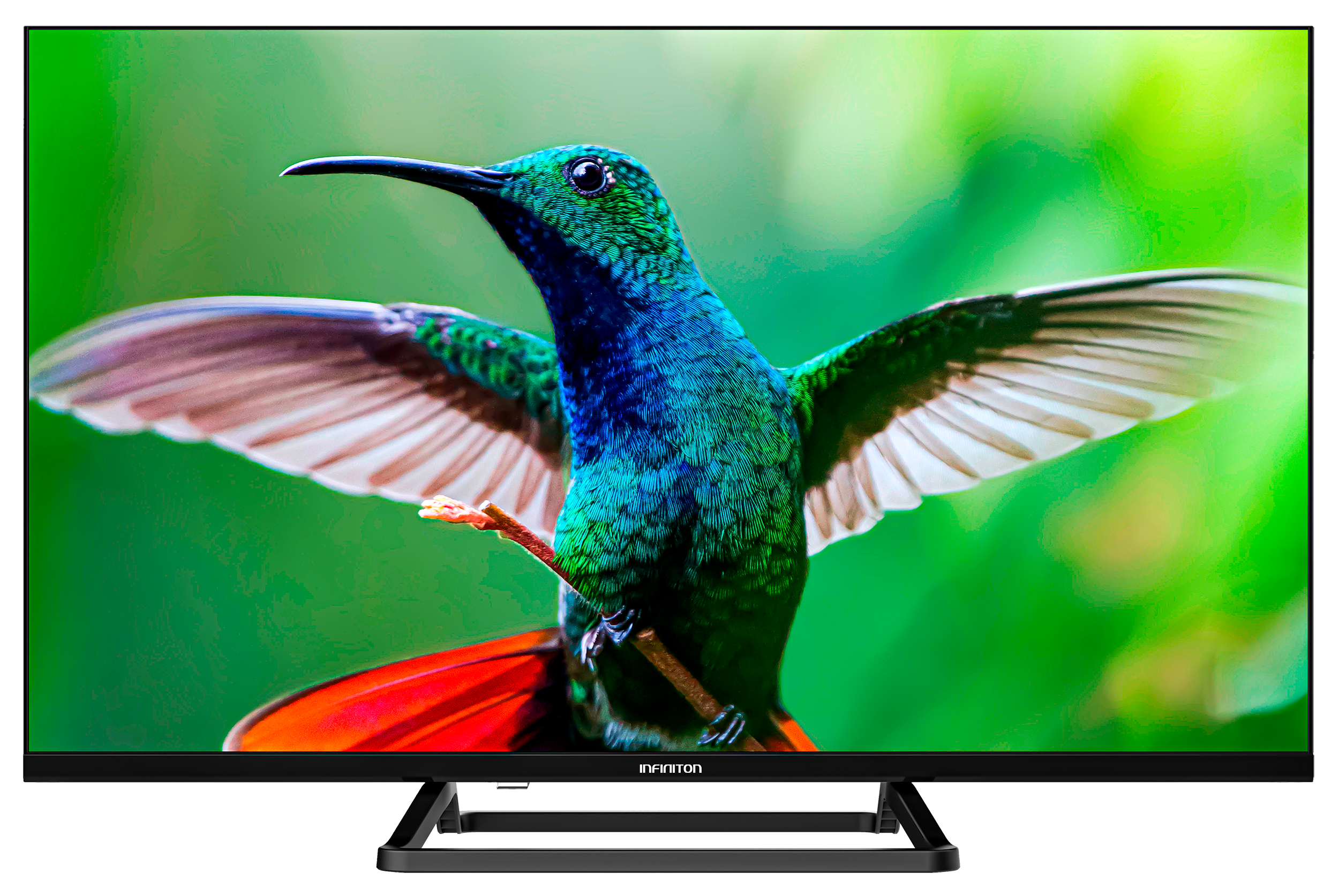 Un televisor muestra un colibrí con las alas abiertas, con un fondo verde y azul.