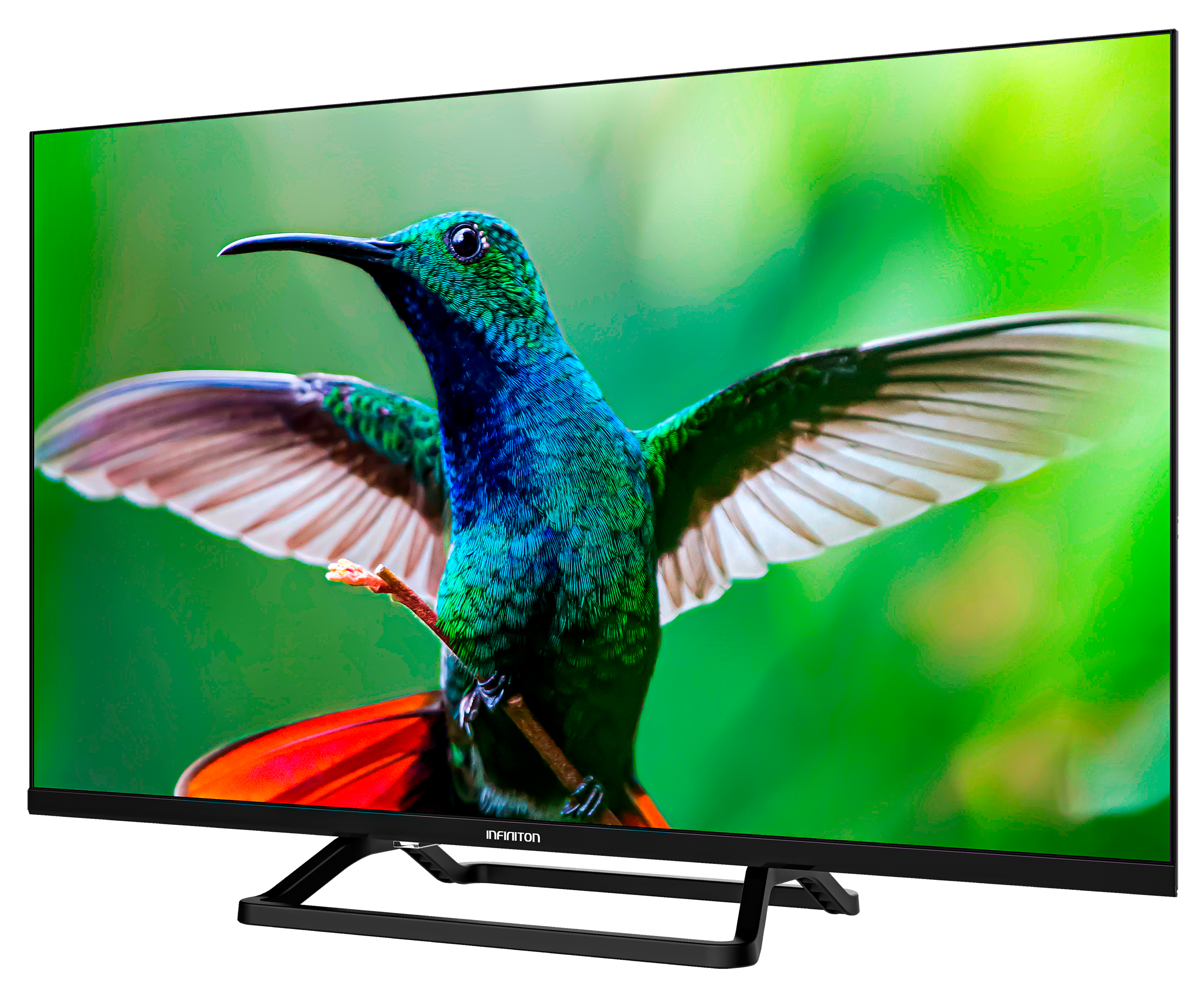 Una pantalla de TV que muestra un colibrí con colores verdes, azules y rojos sobre un fondo verde.