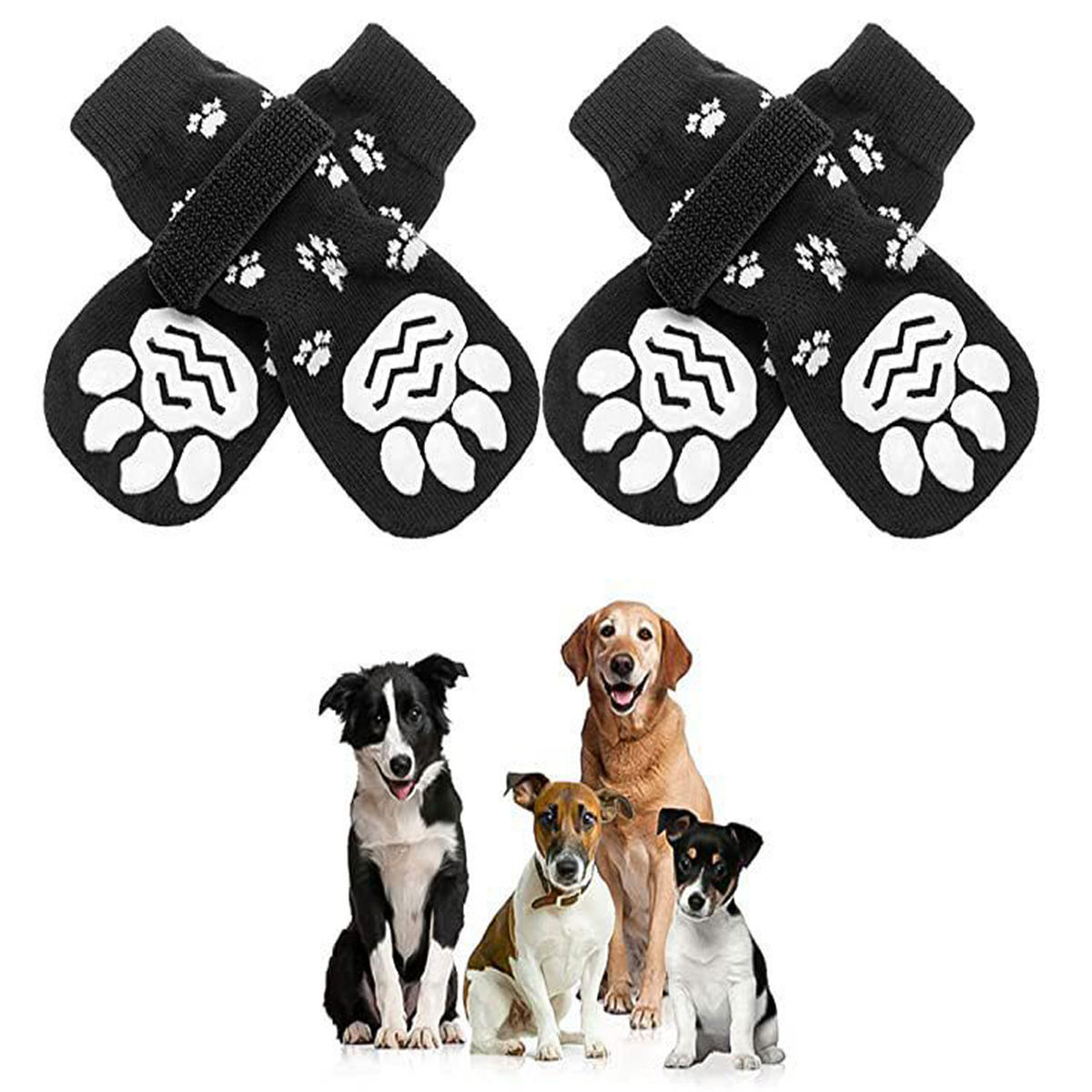 Vier Hunde und zwei Paar schwarze Hundesocken mit Pfotenabdrücken, in einer Gruppe angeordnet.