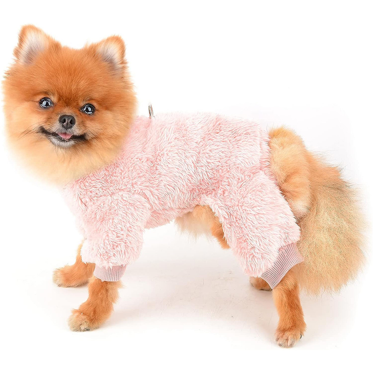 Ein kleiner brauner Hund, der einen rosa flauschigen Overall trägt, weißer Hintergrund.