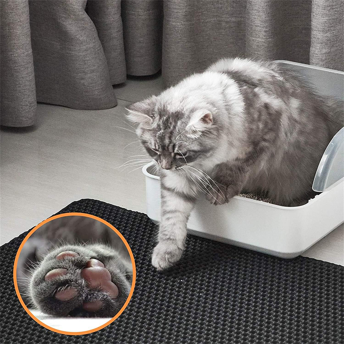 Eine Katze verlässt eine Katzentoilette. Nahaufnahme der Pfotenballen der Katze in einem Kreis.