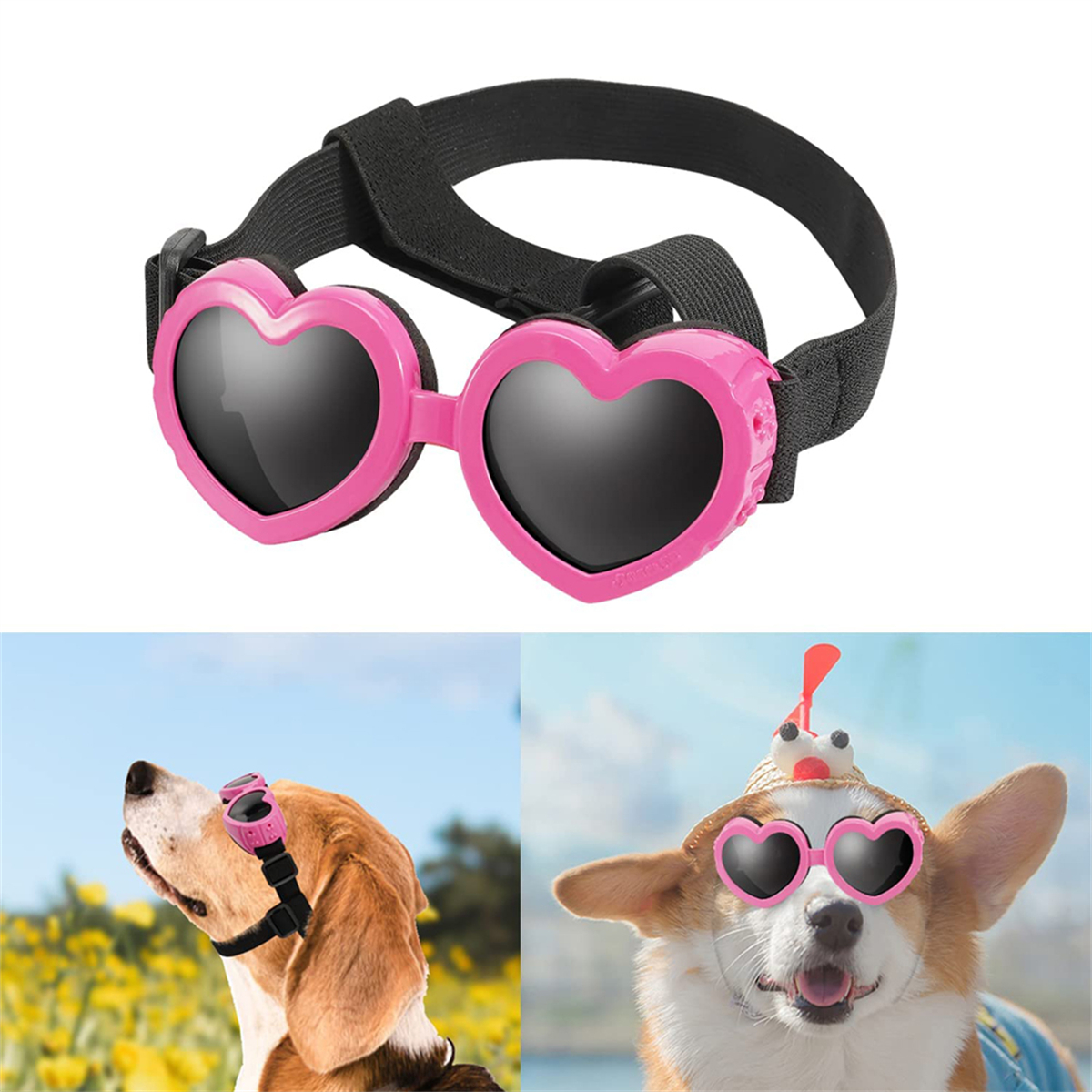 Rosa herzförmige Hunde-Sonnenbrillen, mit Hunden, die sie in verschiedenen Umgebungen tragen, aus verschiedenen Blickwinkeln.