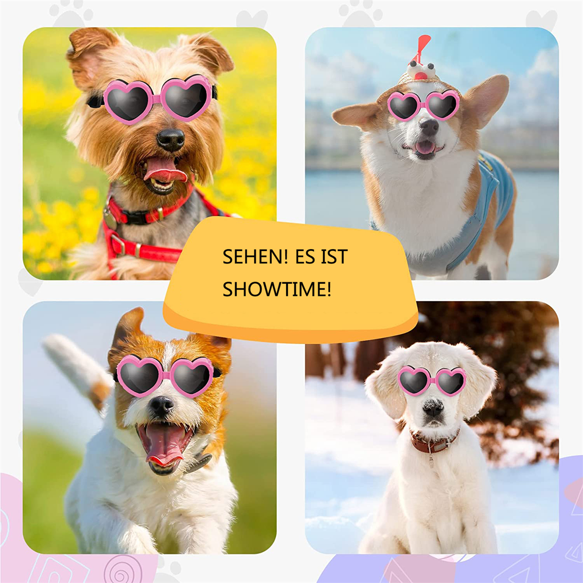 Vier Hunde mit herzförmigen Sonnenbrillen, mit Text: SEHEN! ES IST SHOWTIME!