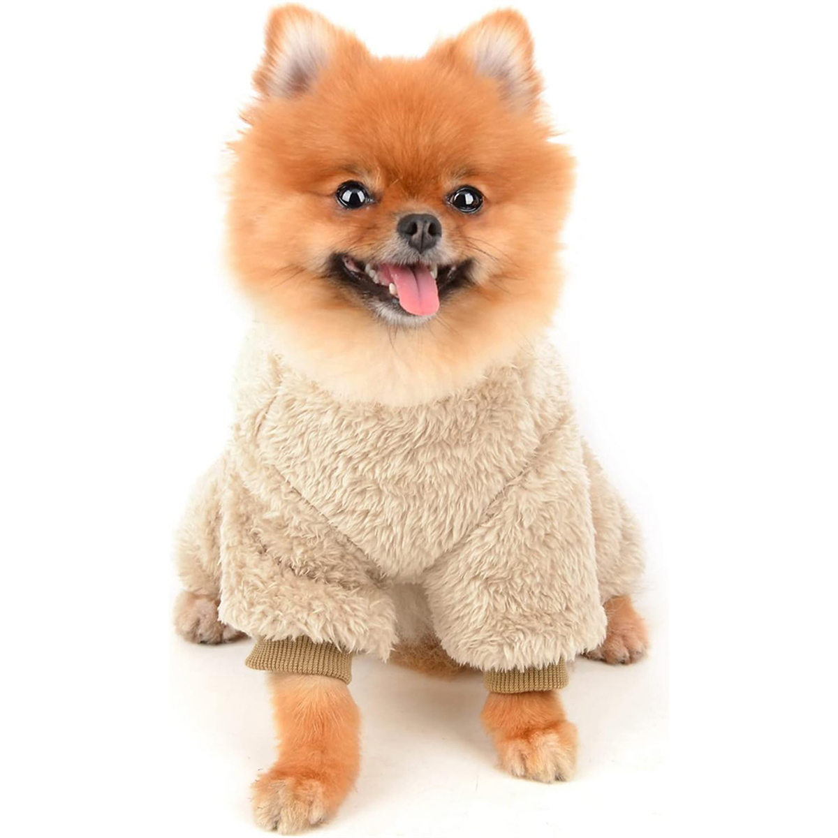 Ein kleiner, flauschiger, beiger Hund mit beigem Mantel und braunen Manschetten, sitzt und lächelt.