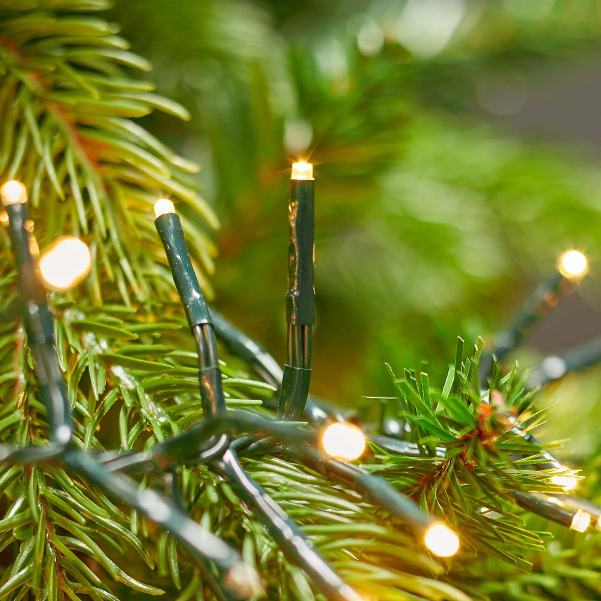 Close-up of Christmas tree with green needles and small yellow lights.