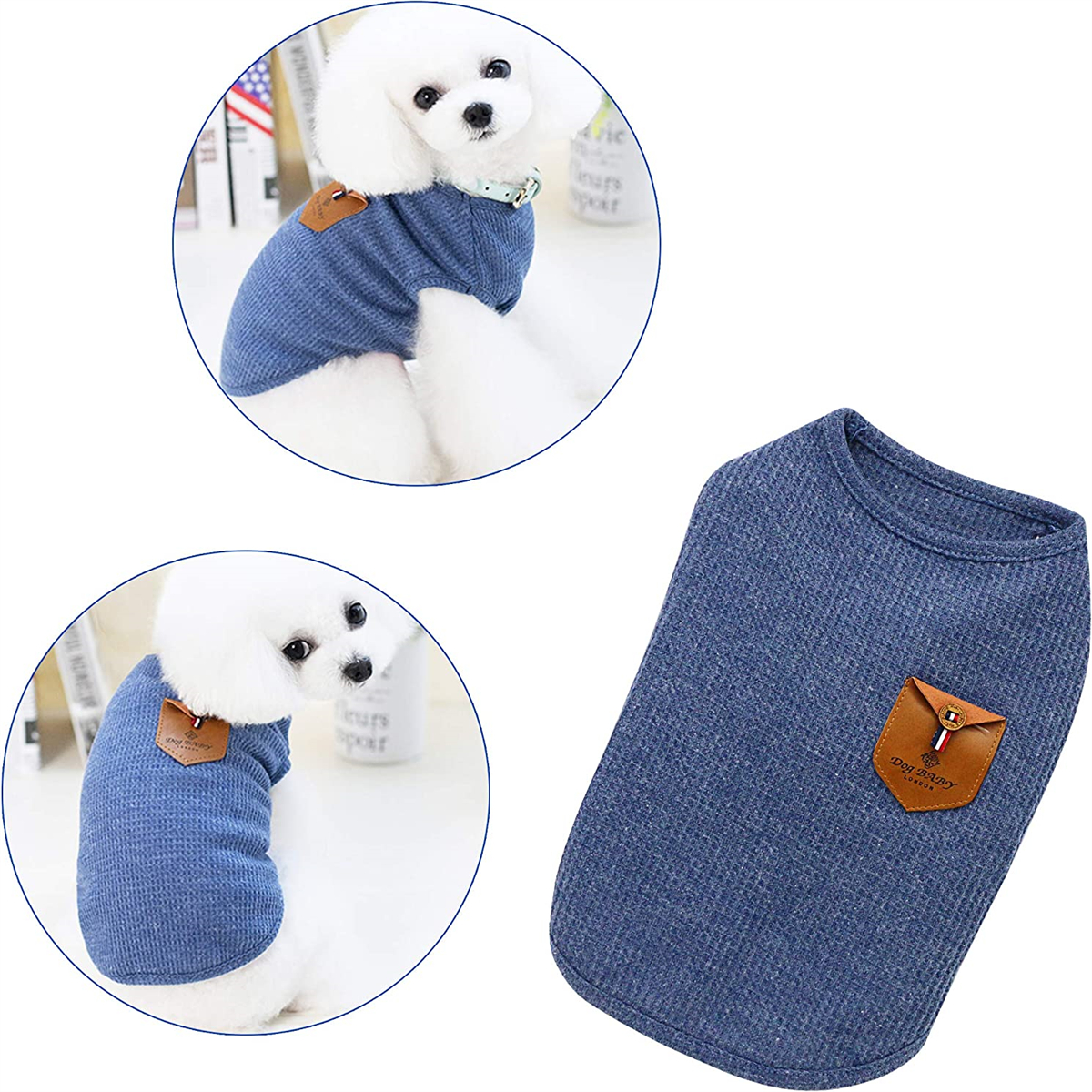 Ein kleiner weißer Hund trägt einen blauen Pullover. Der Pullover hat einen braunen Lederaufnäher.