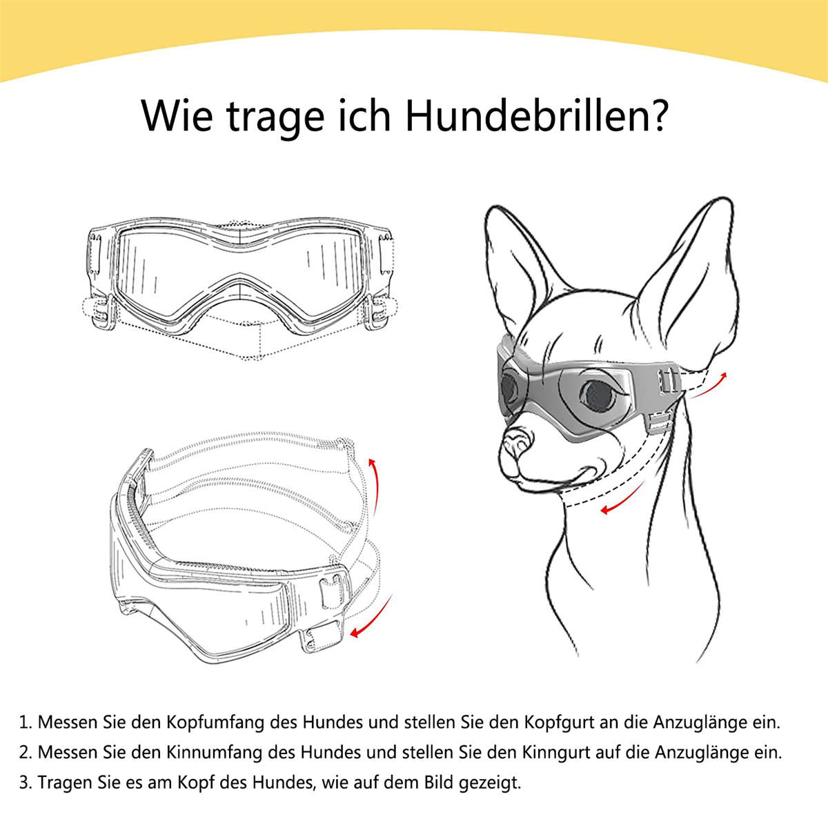 Zeichnungen, die zeigen, wie man eine Hundebrille anpasst, mit einem Hund, der sie trägt.