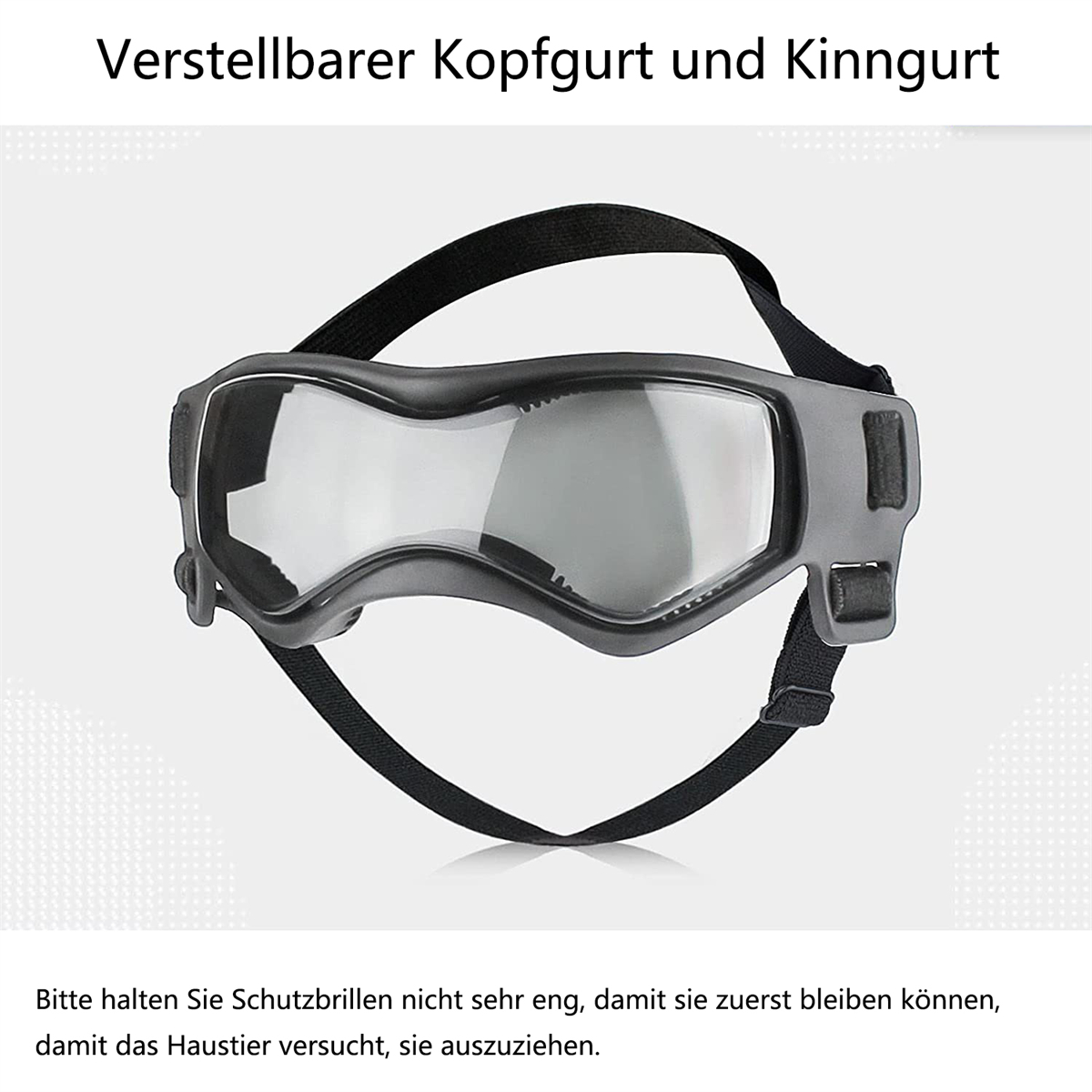 Graue Hundegläser mit schwarzem Riemen. Text auf Deutsch oben.