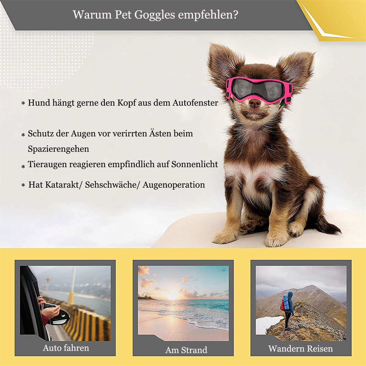 Ein Hund mit rosa Brille, Text über Hundebrillen und Bilder für Autofahren, Strand, Wandern.