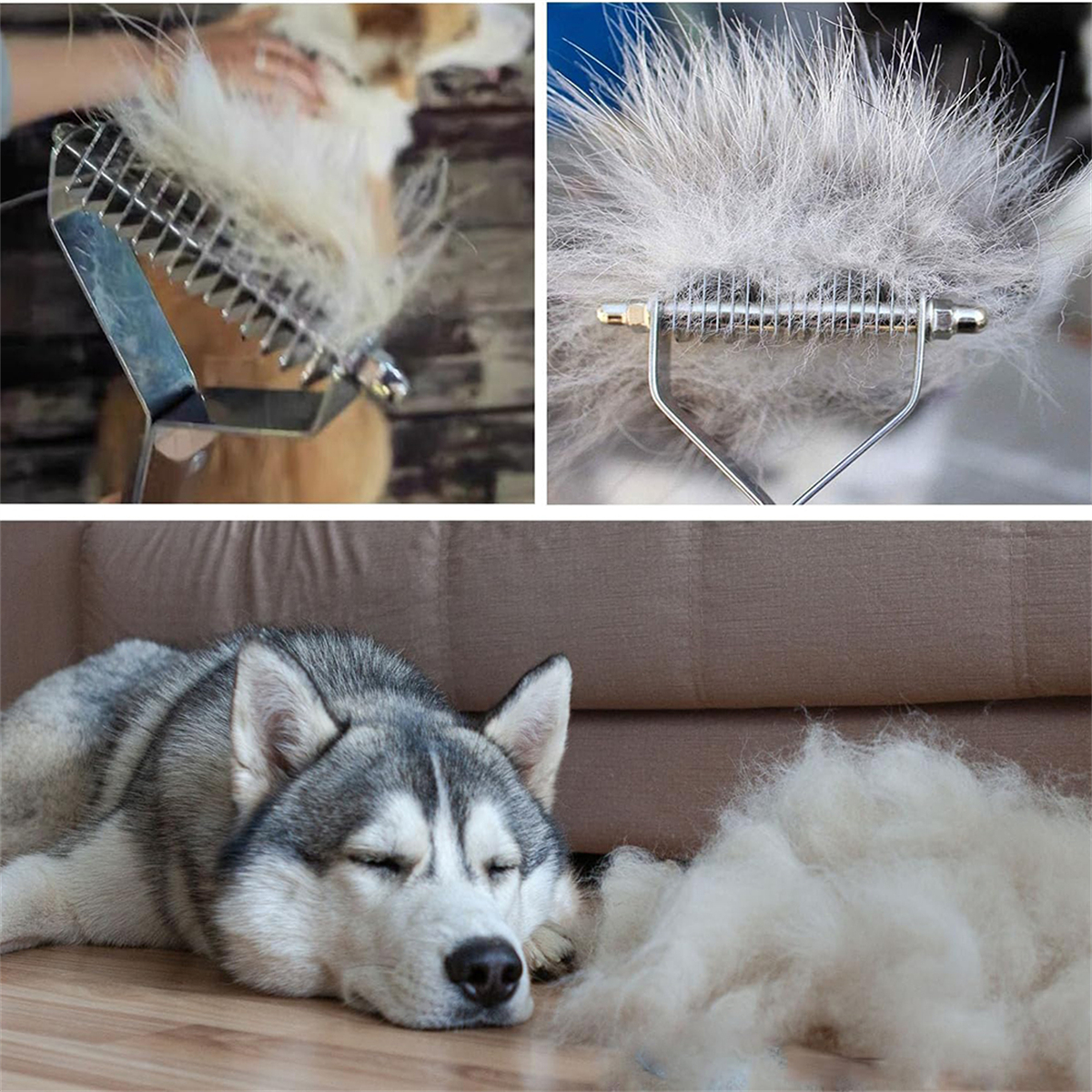 Hunde-Pflegewerkzeuge und ein schlafender Husky. Werkzeuge: Bürste und Fellkamm. Fell auf dem Boden.