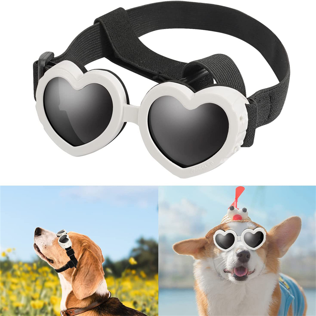 Hunde-Sonnenbrille in Herzform. Außerdem tragen Hunde in verschiedenen Szenen Sonnenbrillen.