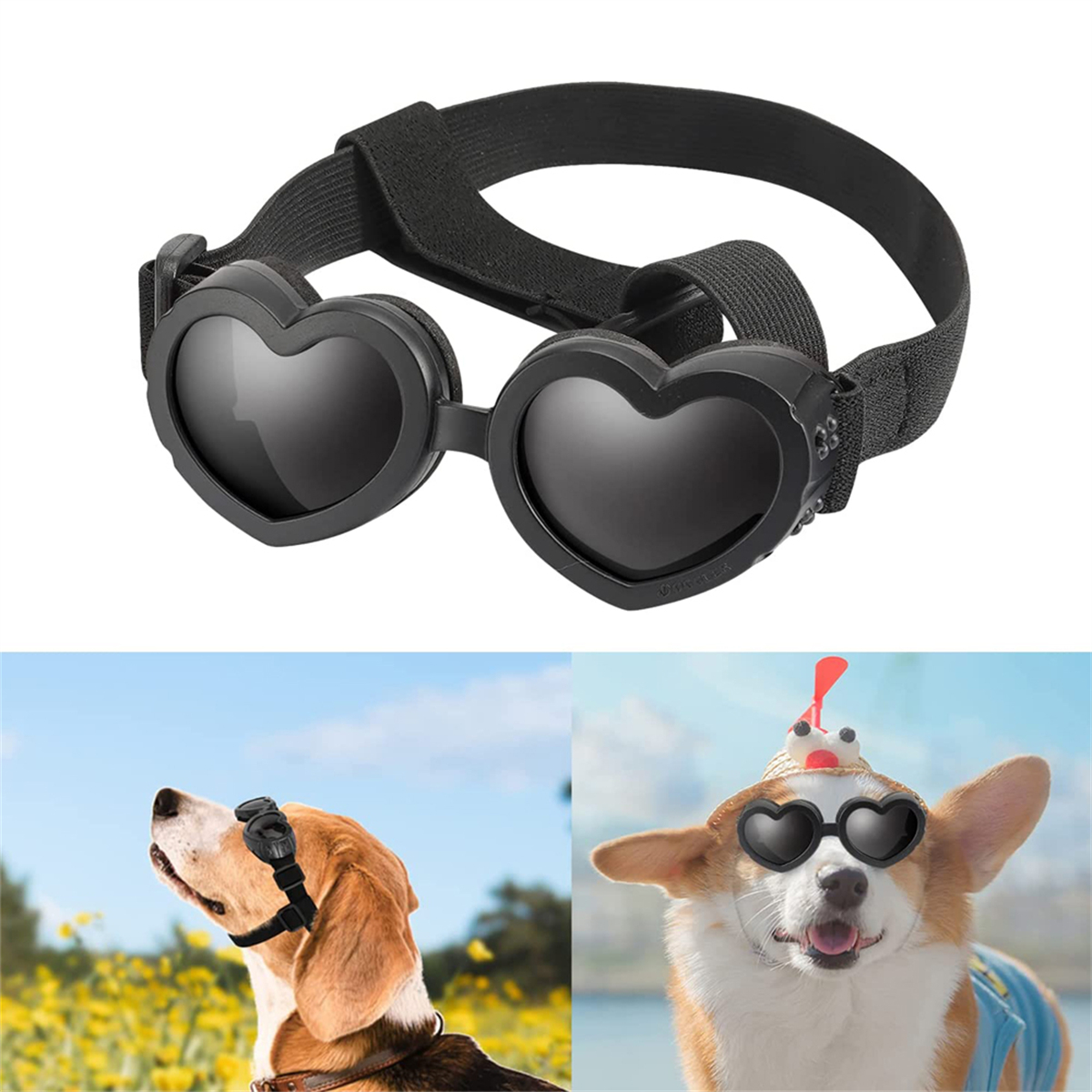 Hunde-Sonnenbrille in Herzform, zwei Hunde tragen sie, einer im Gras, einer mit Hut.