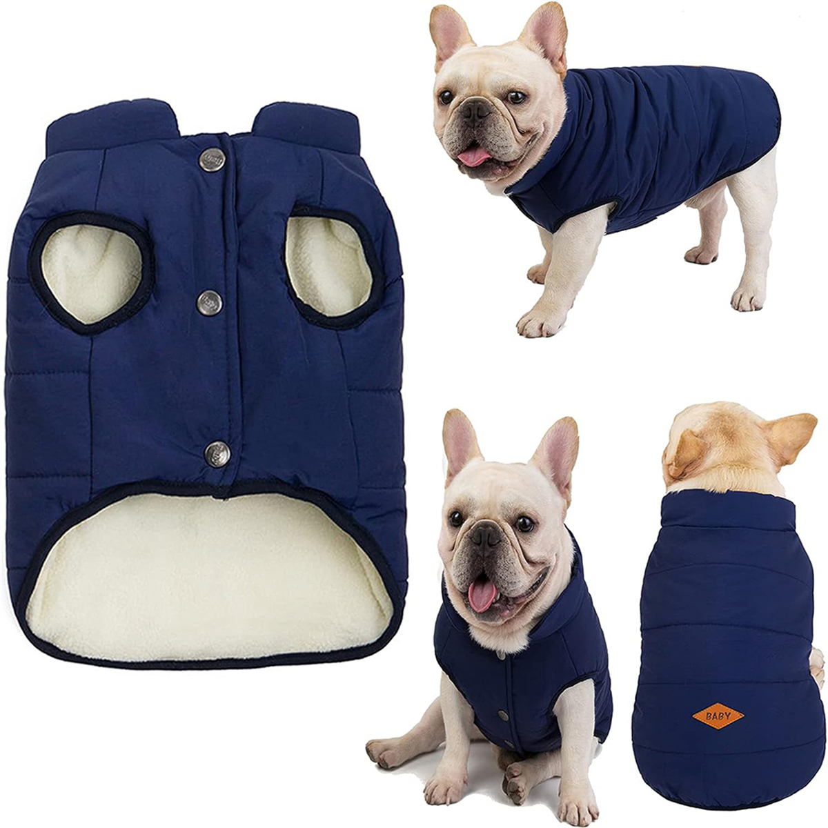 Hund in blauer Steppjacke, Jacke separat gezeigt. Mehrere Winkel.