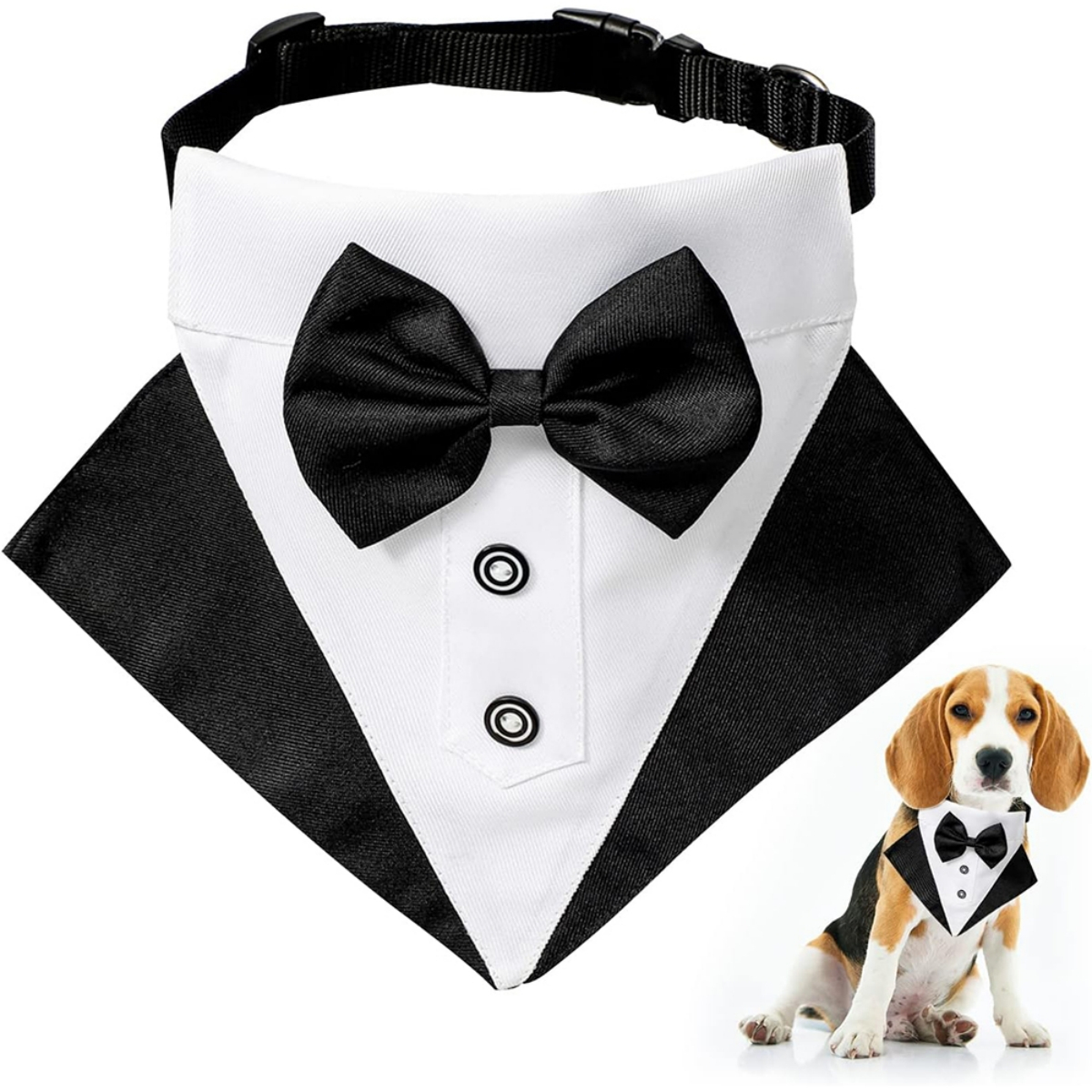 Hund mit Smoking-Bandana. Ein zweites Hundemodell trägt ein ähnliches Bandana.