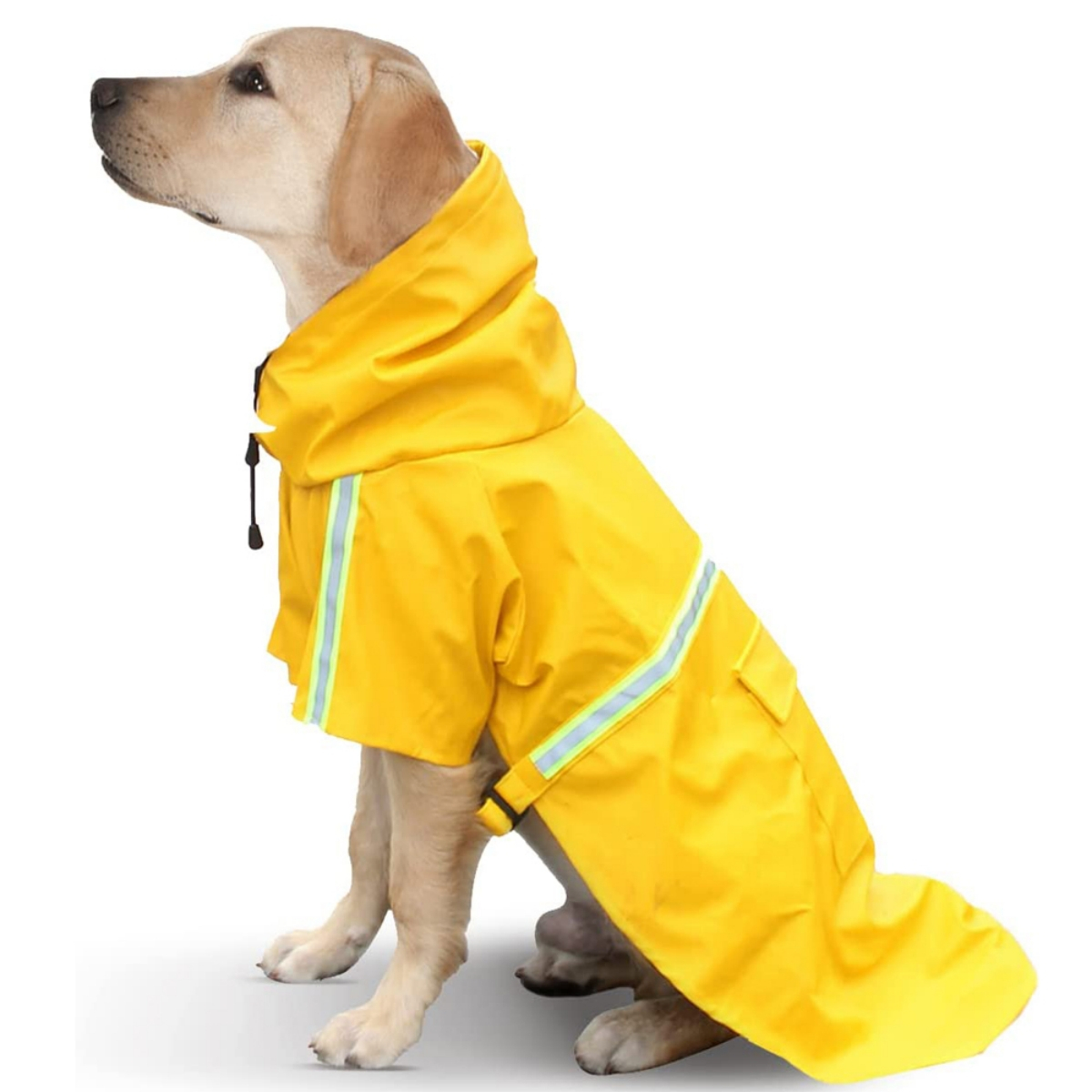 Gelber Hunde-Regenmantel mit reflektierenden Streifen und Kapuze, getragen von einem Hund.