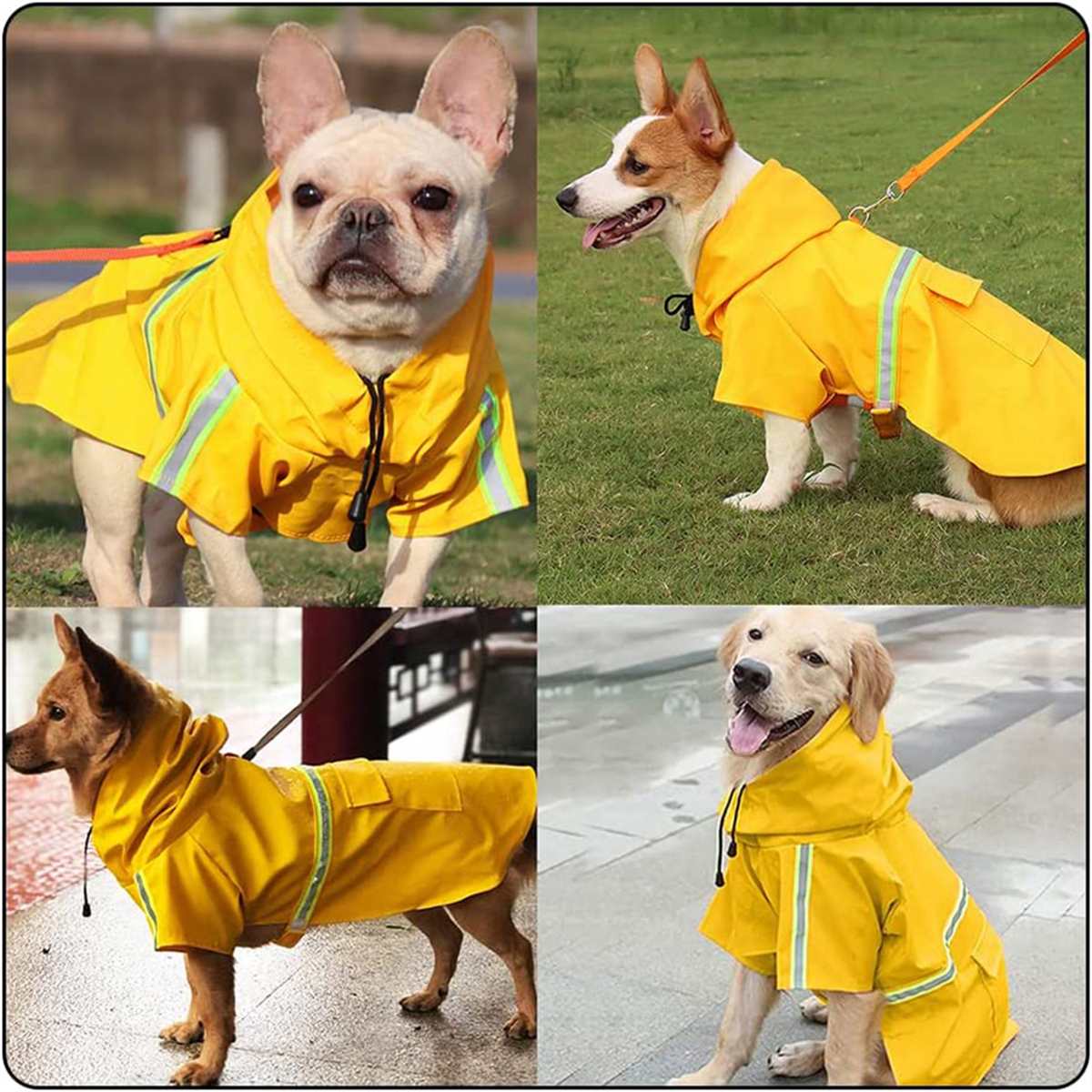 Vier Hunde tragen gelbe Regenmäntel. Sie sind unterschiedlicher Rassen und Posen.