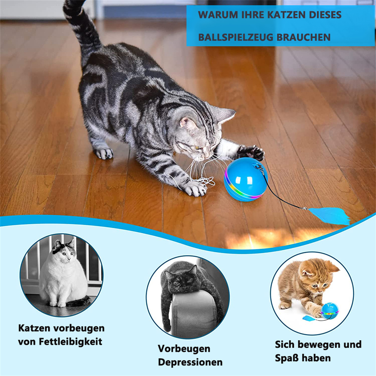 Katze spielt mit einem blauen Ballspielzeug mit Text: Übergewicht verhindern, Depressionen verhindern, Spaß haben.