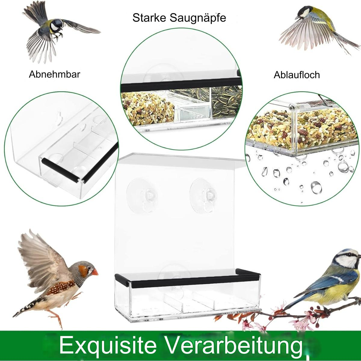 Ein klarer Vogelfutterautomat mit Saugnäpfen. Vögel sind in der Nähe des Futterautomaten mit Samen gezeigt.