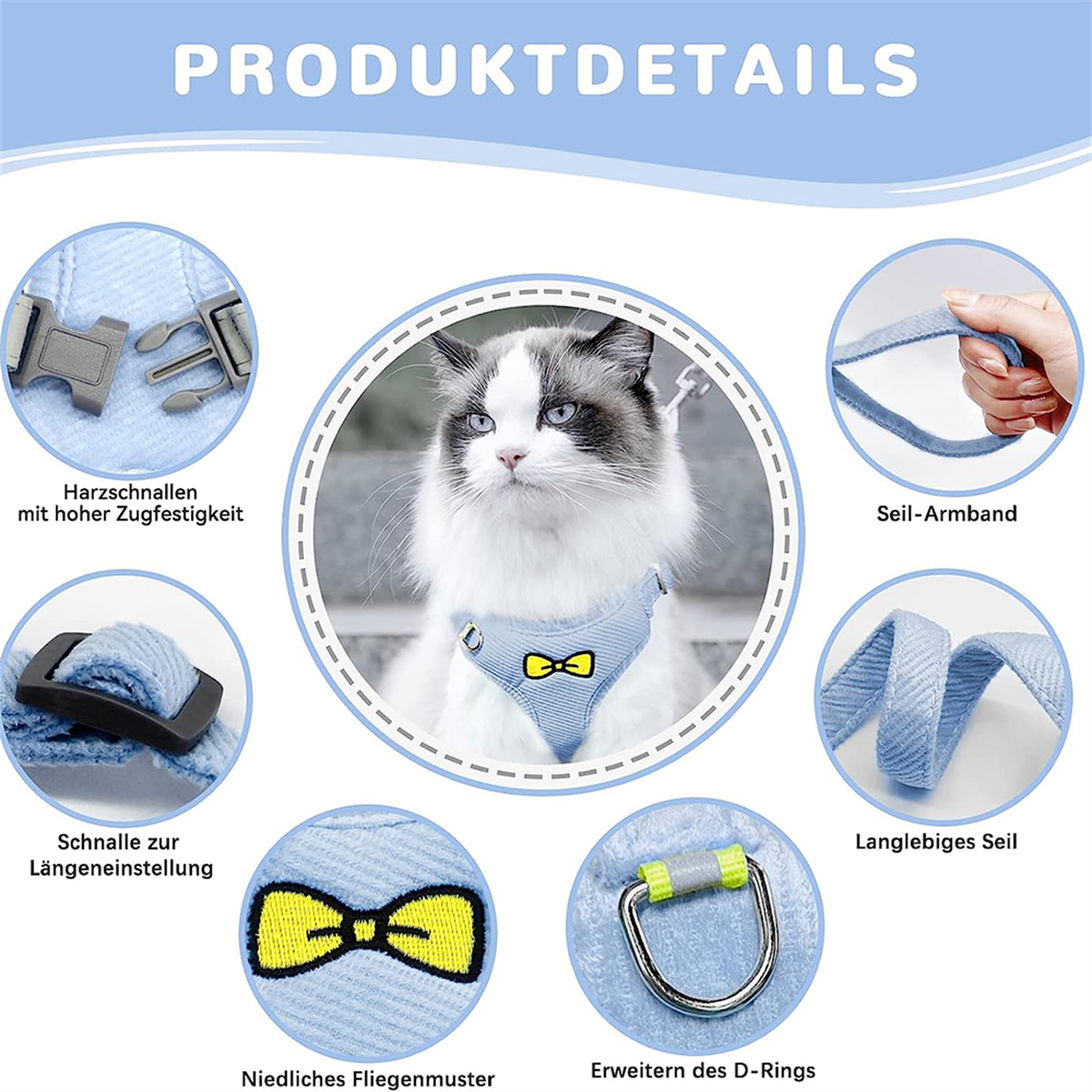 Katze mit blauem Geschirr und Fliege. Zeigt das Geschirr und seine Details.