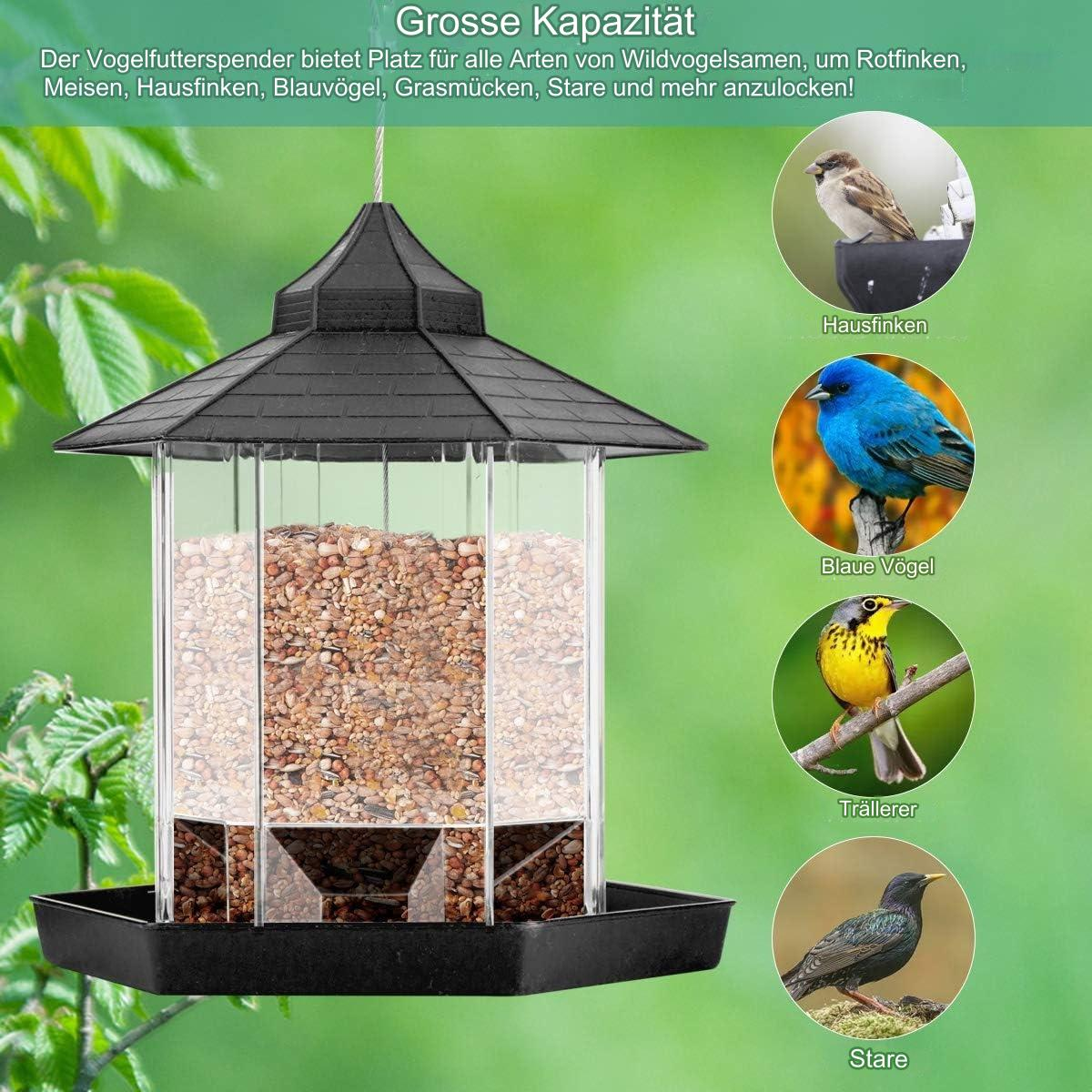 Vogelfutterspender mit Körnern. Vögel: Spatz, Blaumeise, gelber Sänger und Star. Grüner Hintergrund.