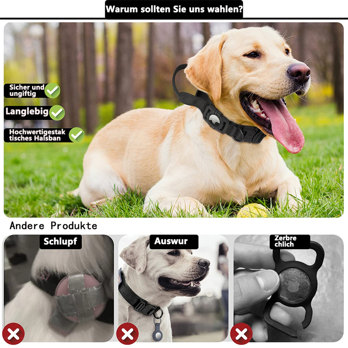 Hund liegt auf Gras und trägt Halsband. Andere Bilder von Kragentypen sind unten links abgebildet.