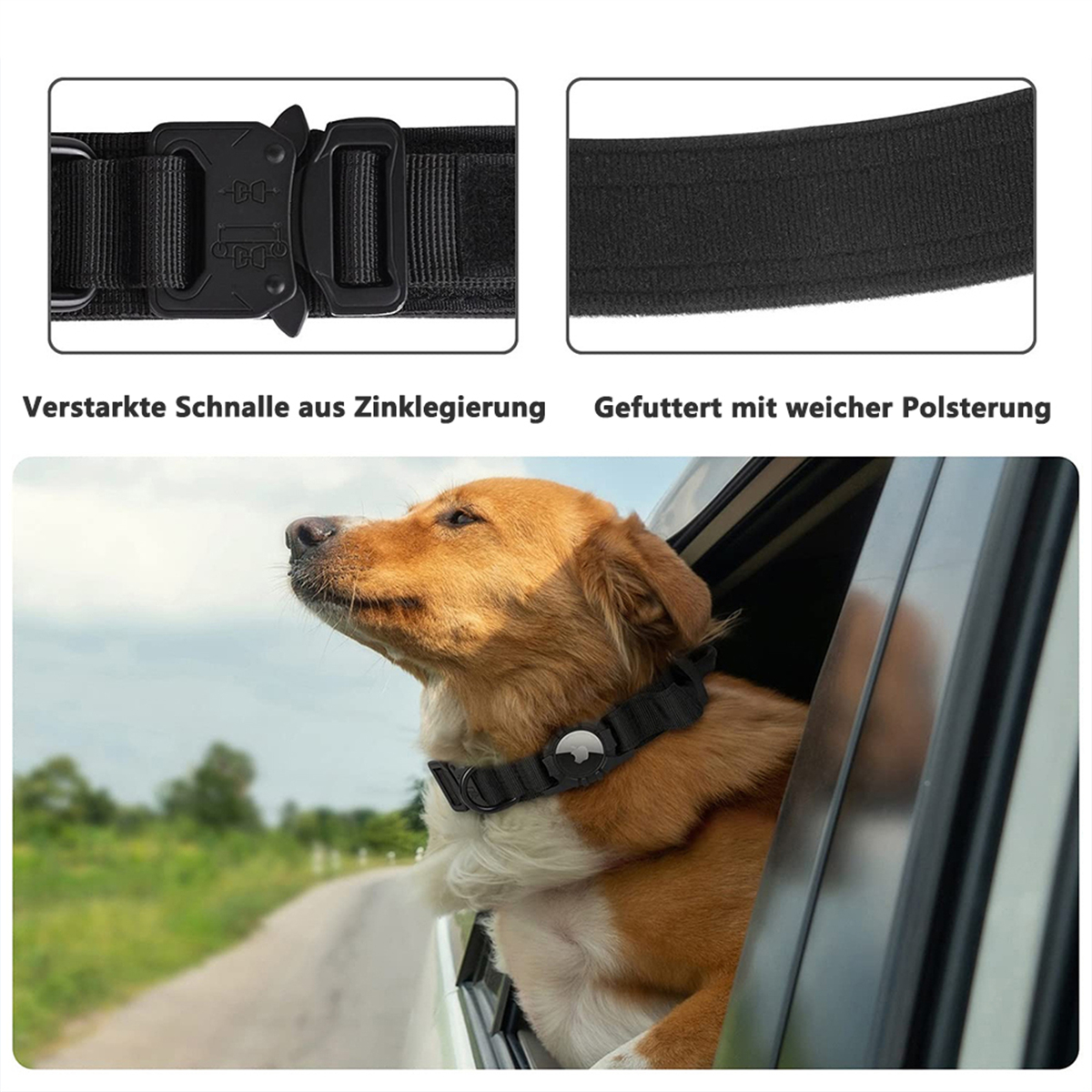 Hund im Autofenster mit schwarzem Halsband. Detail von Kragen und Schnalle. Grüne Bäume im Hintergrund.
