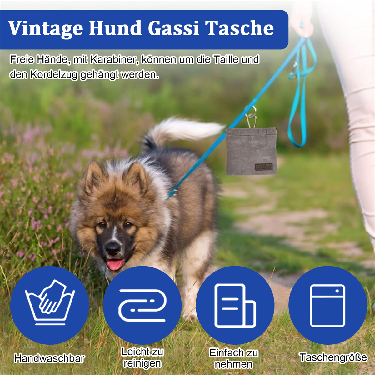 Ein Hund geht mit einem Hundekotbeutelhalter am Gassi-Geh-Leine, darunter vier Symbole.