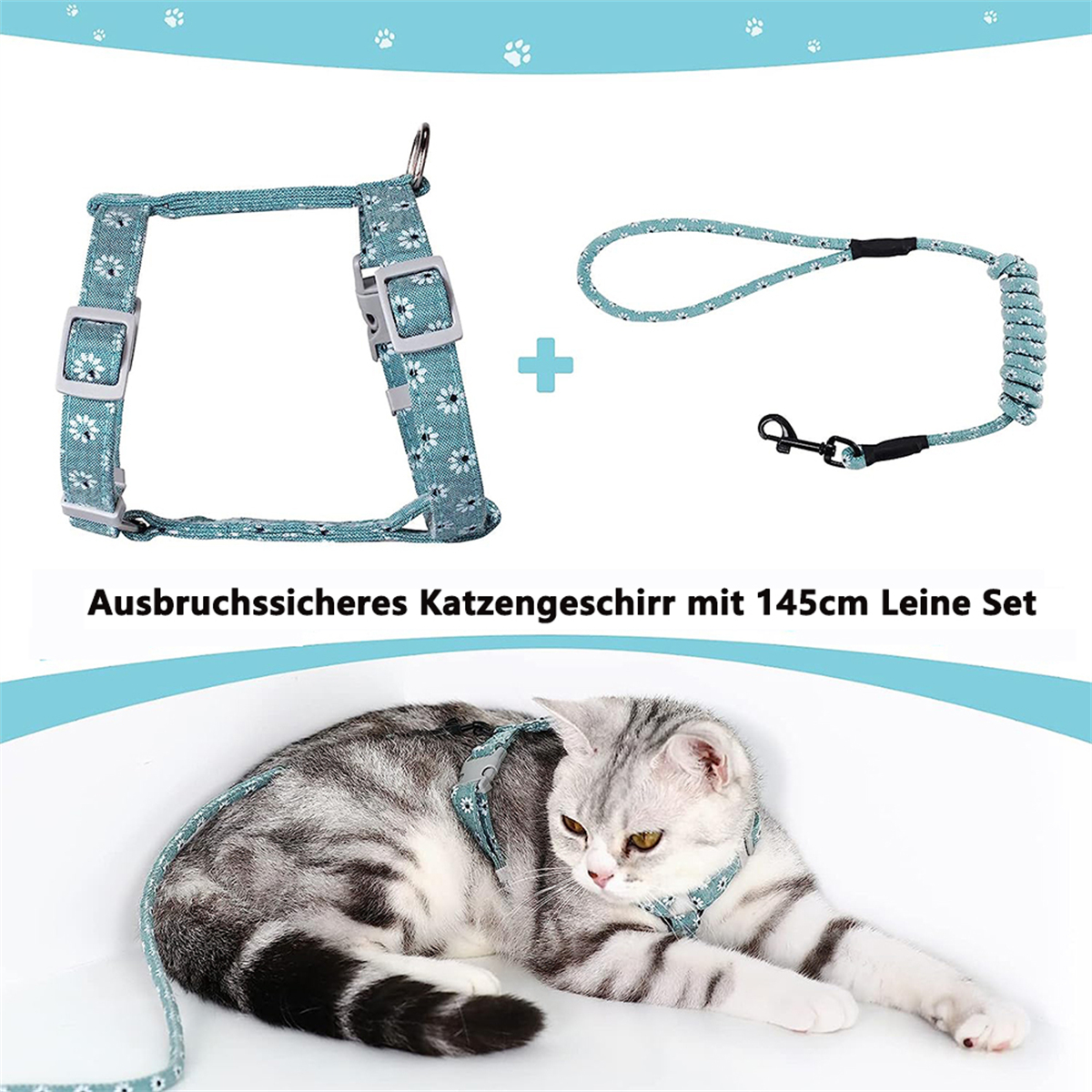 Eine Katze in Geschirr und Leine, ein passendes Geschirr-Set. Text: Katzengeschirr-Set.