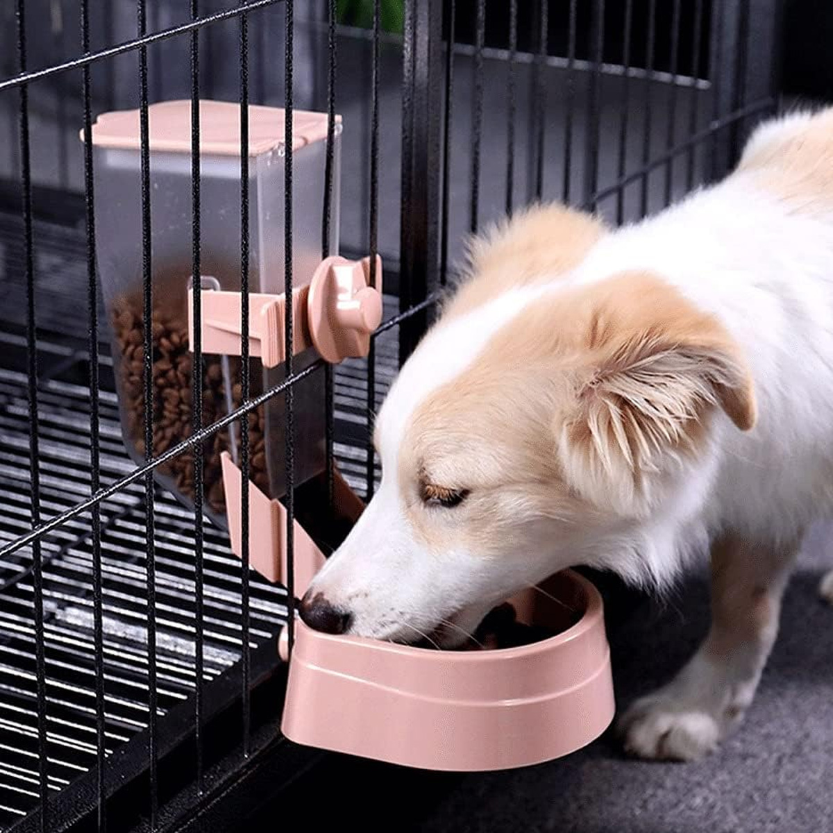 Hund frisst aus einer rosa Schüssel, die an einem Futterautomaten in einem Käfig befestigt ist.