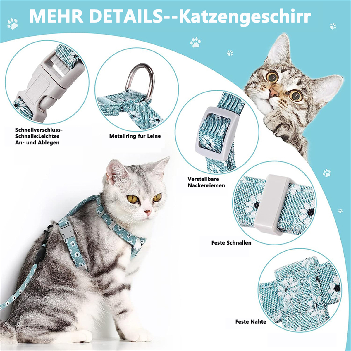 Eine Katze mit blauem Geschirr. Nahaufnahmen zeigen die Details des Geschirrs: Schnallen, Ringe und Nähte.