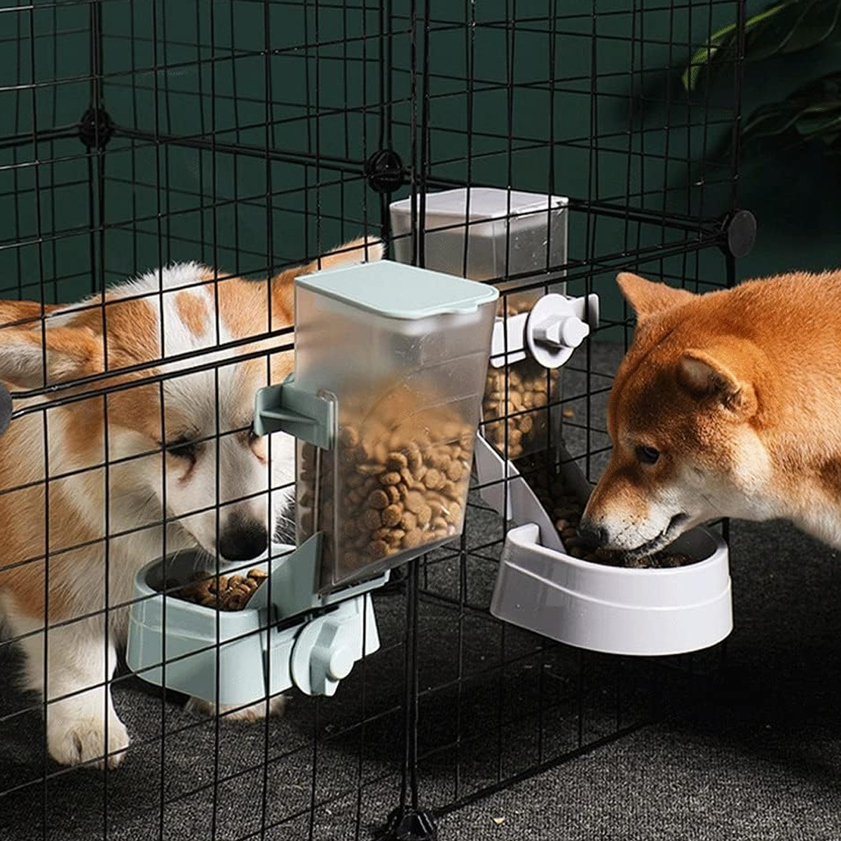 Zwei Hunde, die aus Futterspendern in einem Käfig fressen, Futter ist sichtbar.