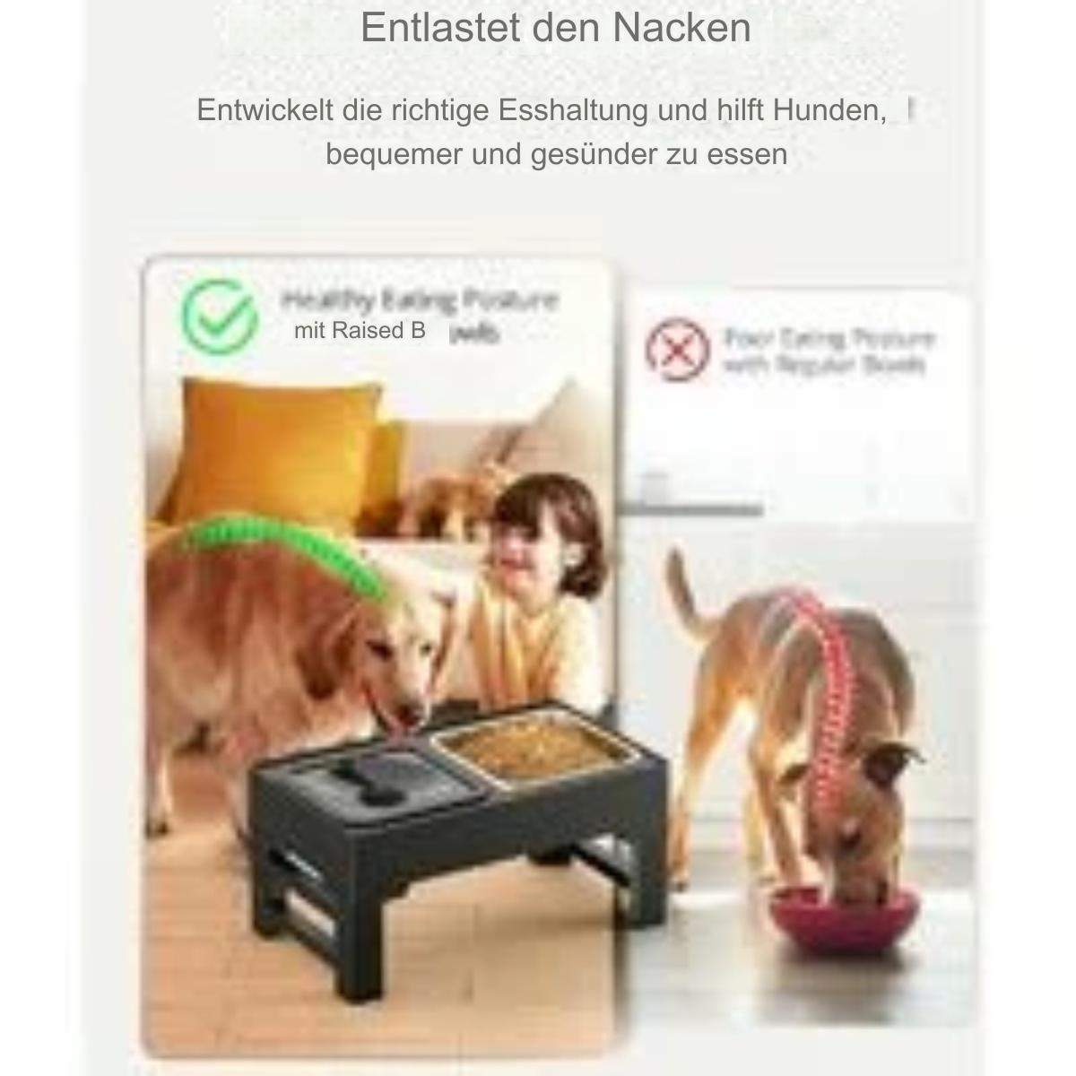 Diagramm: Ein Mädchen und Hunde mit zwei Futterstationen. Text über gesunde und schlechte Esshaltungen für Hunde.