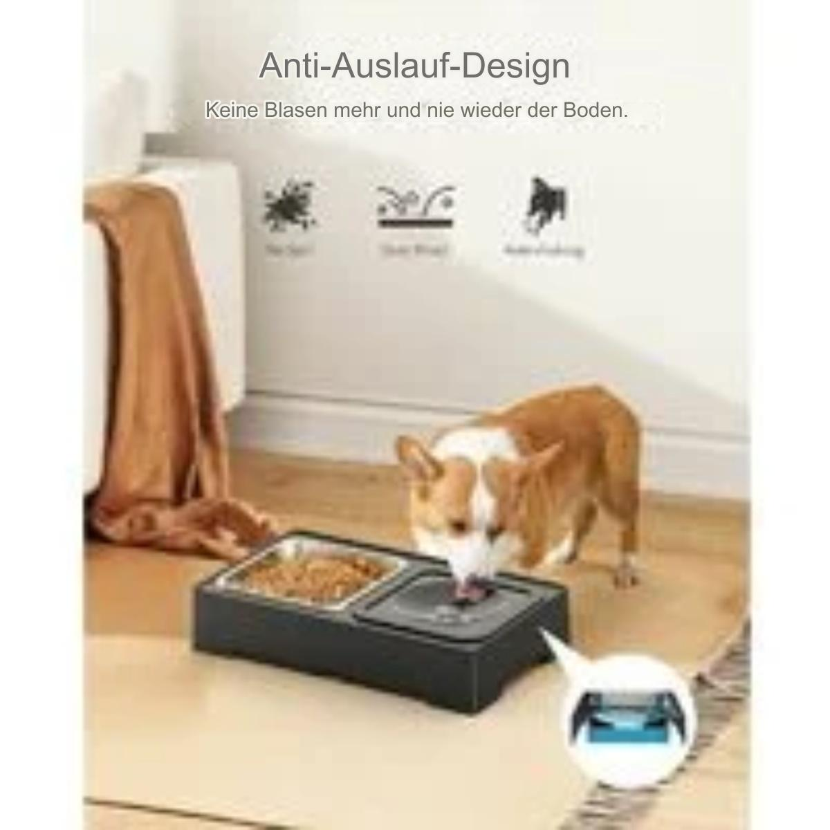 Hund isst aus Doppel-Napf, Anti-Auslauf-Design, in einem Raum.