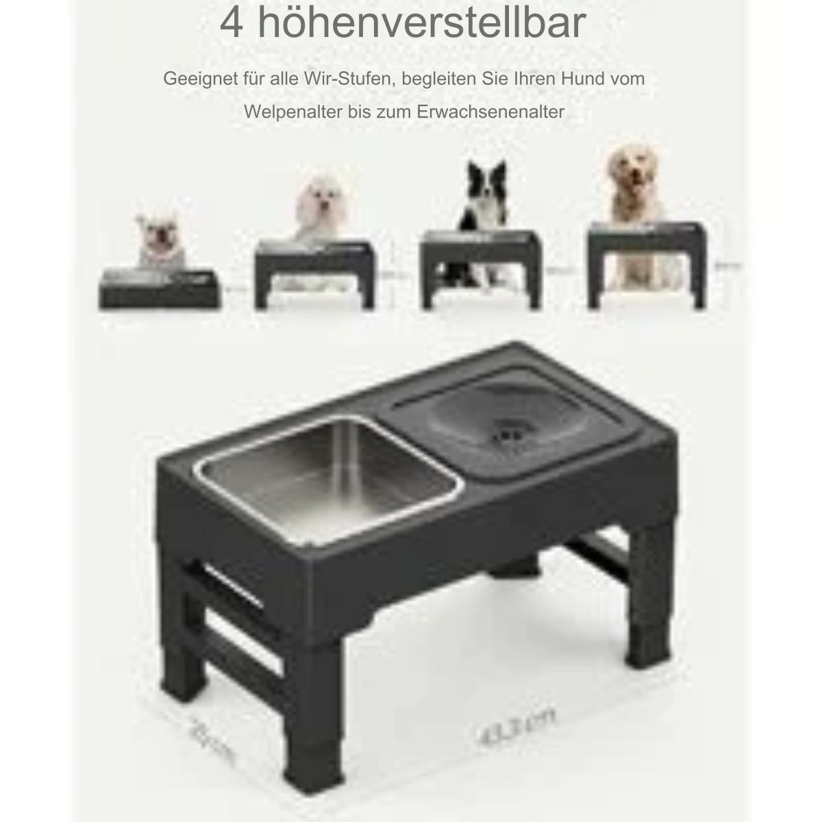 Eine Hunde-Futterstation mit Edelstahlnapf und Wassernapf, Hunde im Hintergrund.