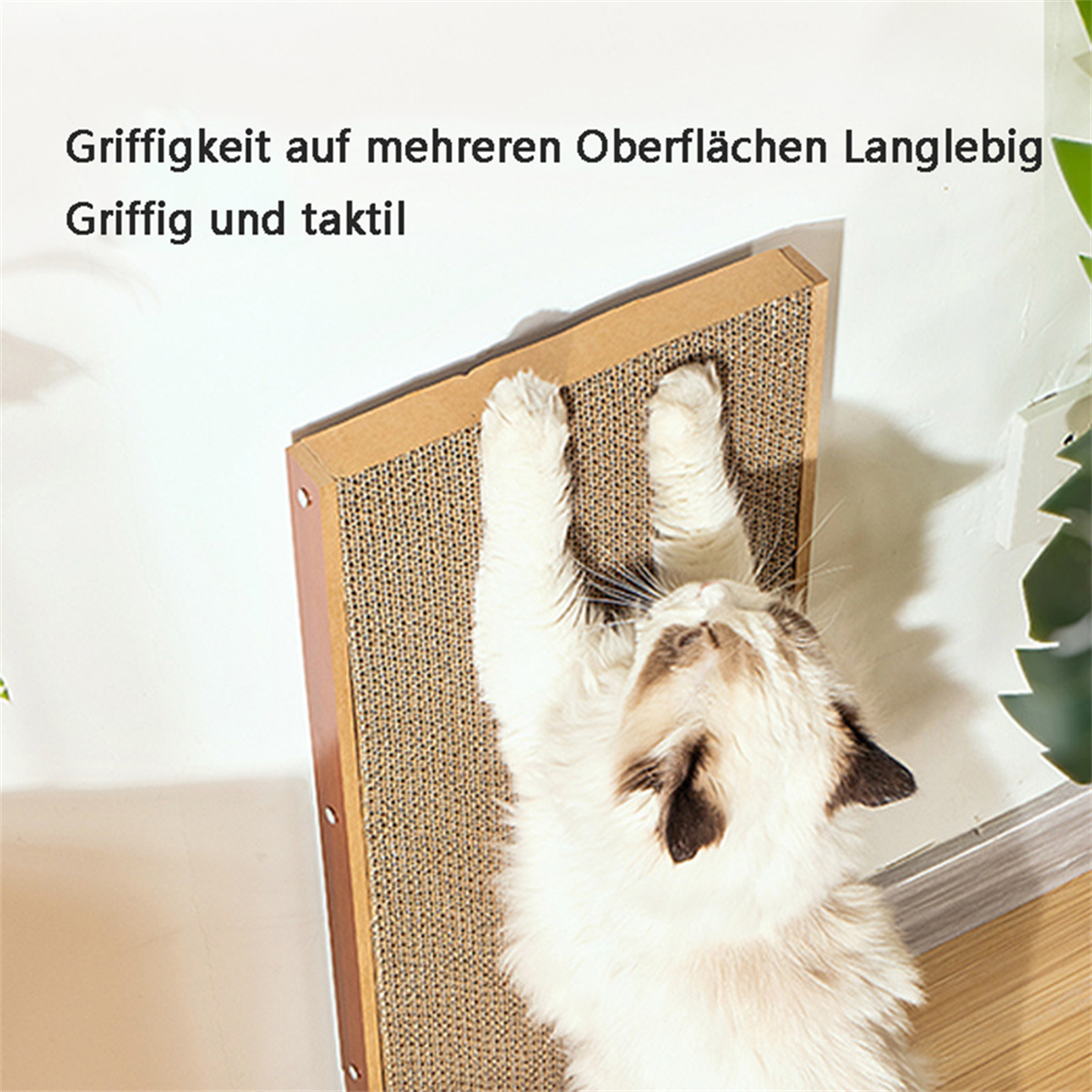 Eine Katze kratzt an einer Papp-Kratzplatte, die an einer Wand steht.