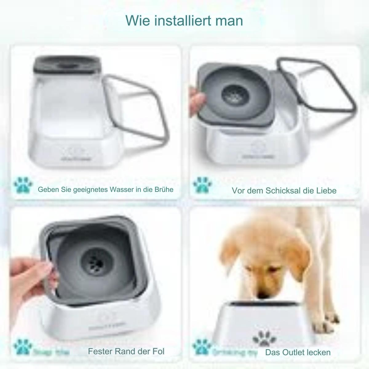 Diagramm eines Hunde-Wassernapf-Setups. Anweisungen auf Deutsch. Weißer Hintergrund.