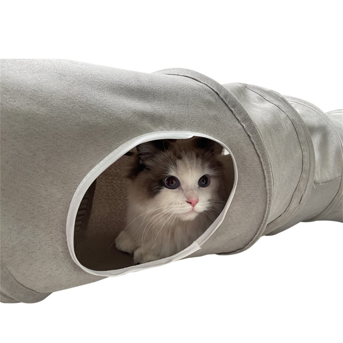 Eine Katze in einem grauen Tunnel mit einer weißen ovalen Öffnung, die den Betrachter ansieht.