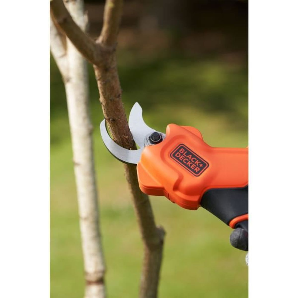 Orange und schwarze Black+Decker-Schere schneidet einen kleinen Ast von einem Baum ab.