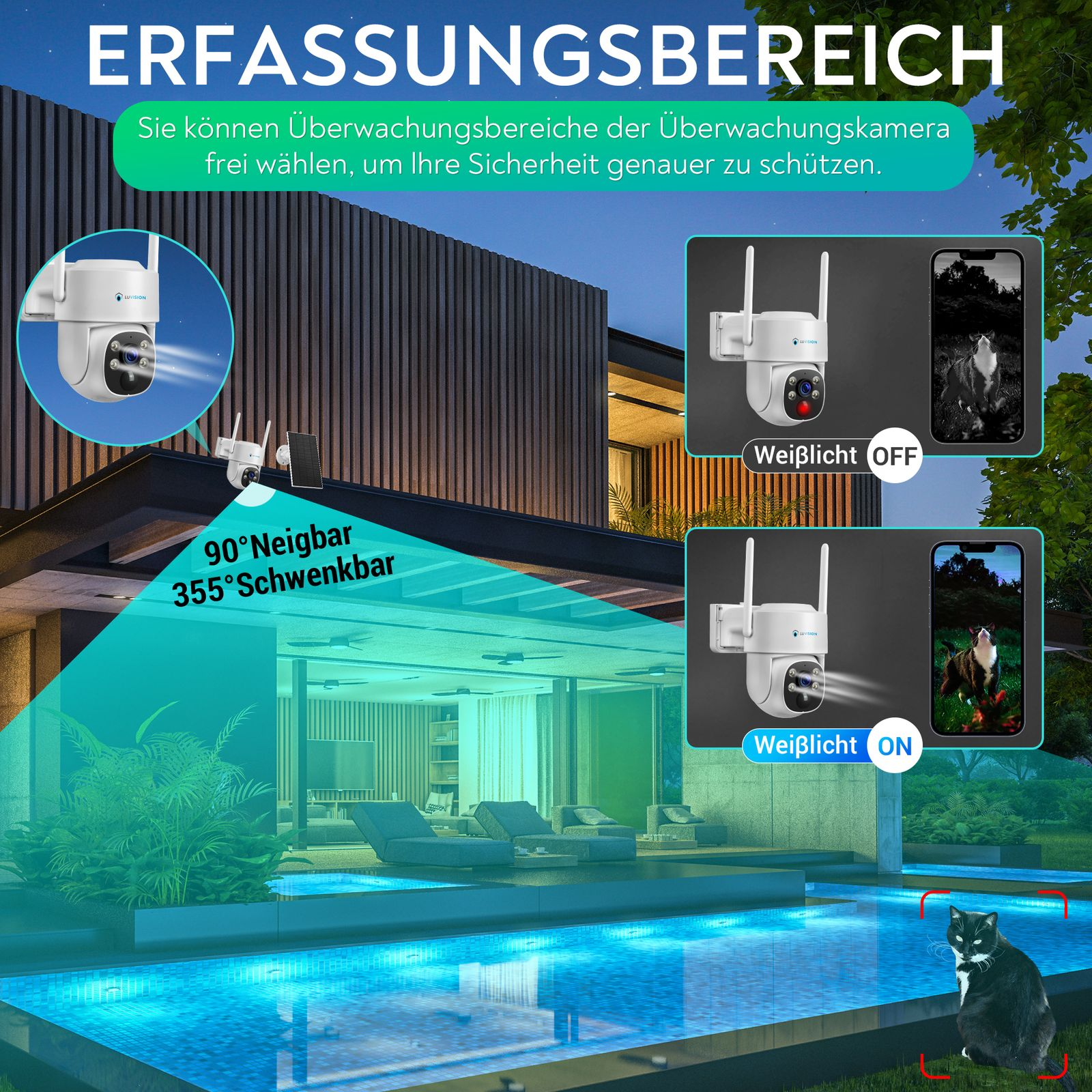 Überwachungskameras im Freien, mit Haus und Pool im Hintergrund. Katze im Vordergrund.