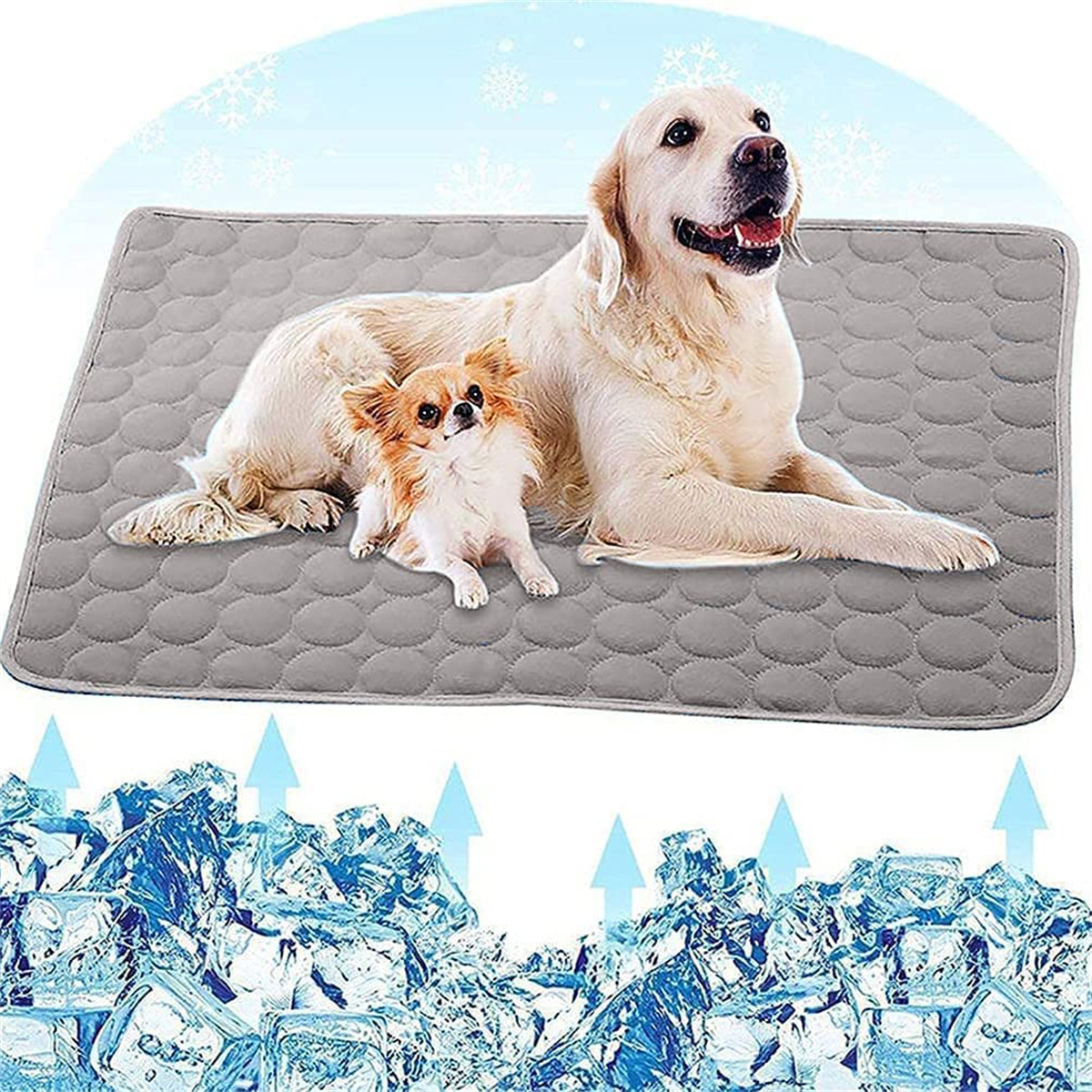 Zwei Hunde auf einer grauen Kühlmatte mit Eiswürfeln unten. Weißer Hintergrund.