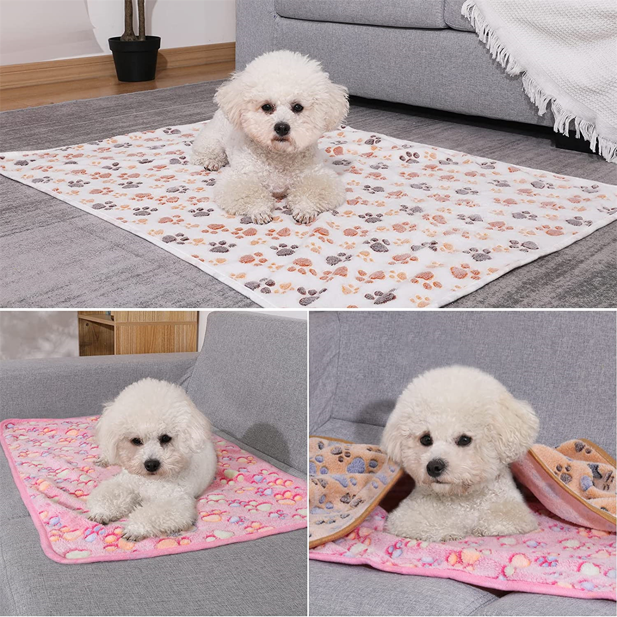 Drei Fotos eines weißen Hundes auf Decken mit Pfotenabdrücken. Der Hund ist ein Bichon Frise.