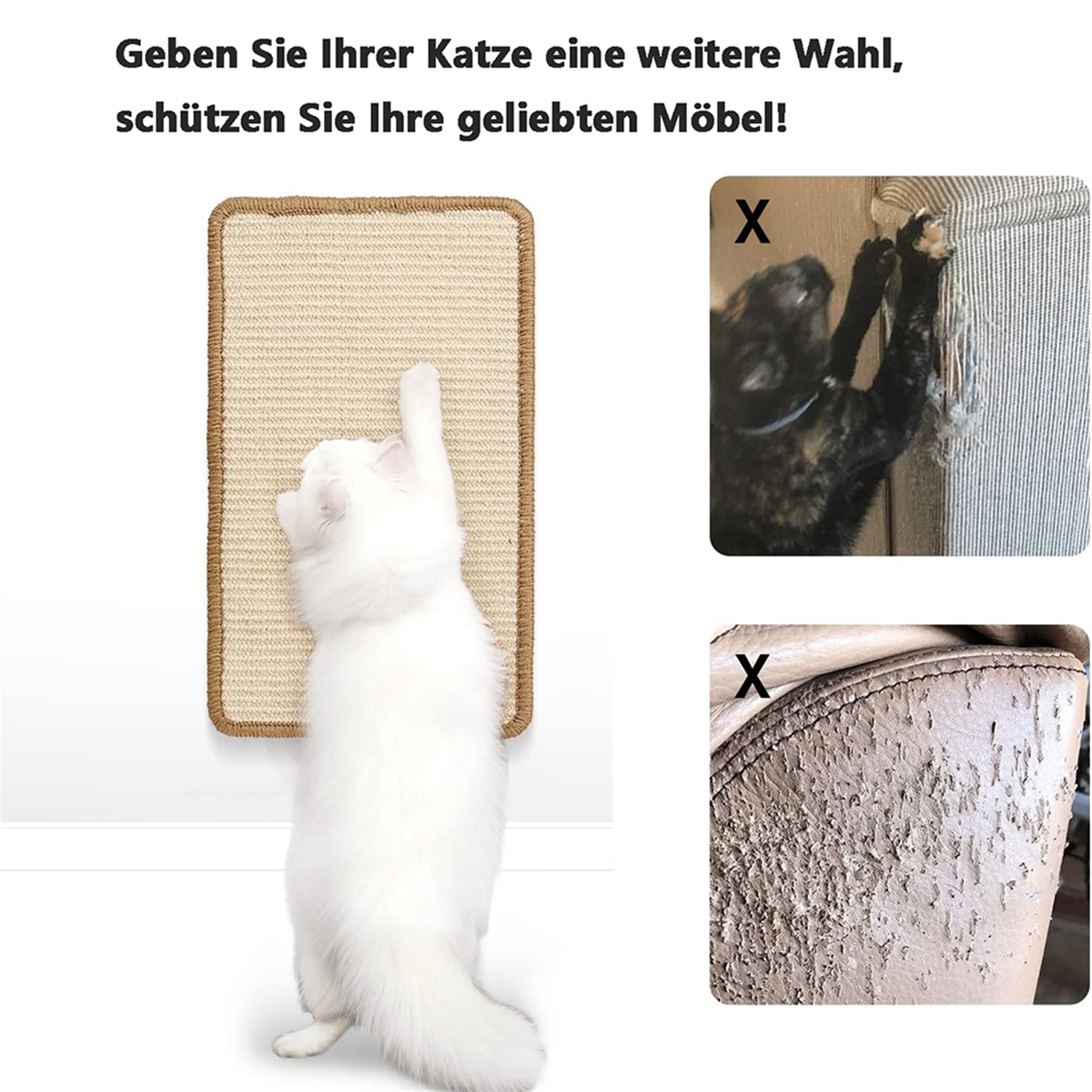Eine weiße Katze auf einem Kratzbaum, mit Bildern von von Katzen beschädigten Möbeln rechts.