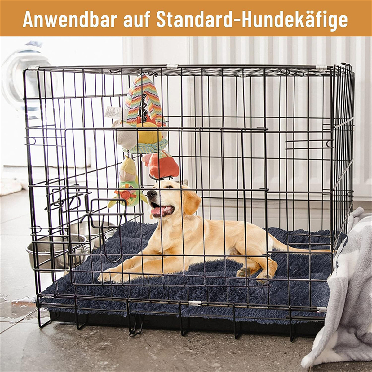 Ein Golden Retriever in einer schwarzen Drahtkiste mit blauem Bett, Spielzeug und Wassernapf.